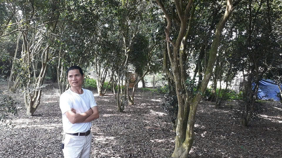 Hạt Sở