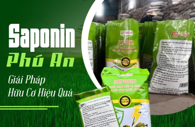 Phân Phối Saponin Cho Đại Lý Thuốc Bảo Vệ Thực Vật