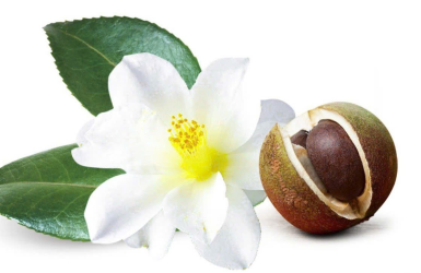 5 Lý Do Bạn Nên Chuyển Sang Dầu Ăn Hữu Cơ Ngay Hôm Nay