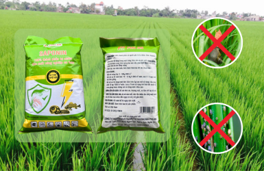 Saponin Diệt Ốc, Cá Ăn Tạp – Giải Pháp Hữu Cơ Hiệu Quả Từ Khải Hưng