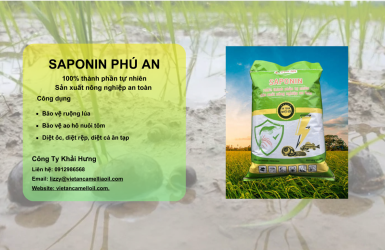 Saponin Phú An - Sản Phẩm Chất Lượng Từ Cây Sở