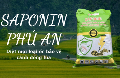 Tại Sao Nên Dùng Saponin Diệt Ốc Thay Cho Thuốc Hóa Học?