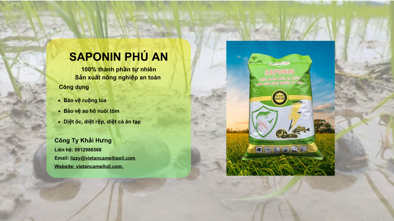 saponin chất lượng cao